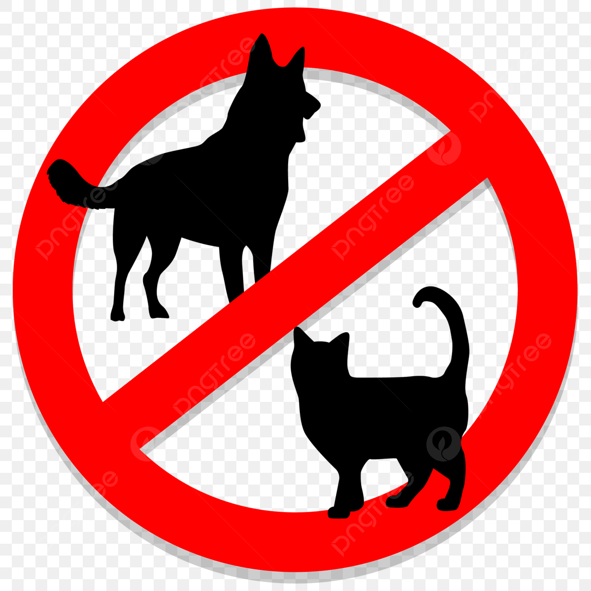 Pets not allowed