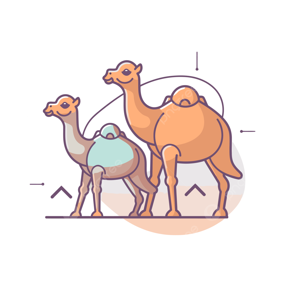 Camel trips